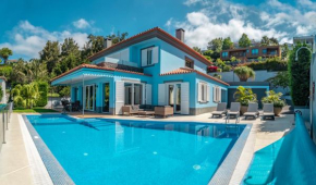 Villa Loureiro Palace With Soccer Field